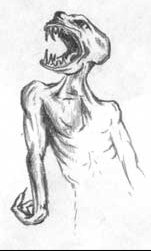 No, netvor to je, co?:)