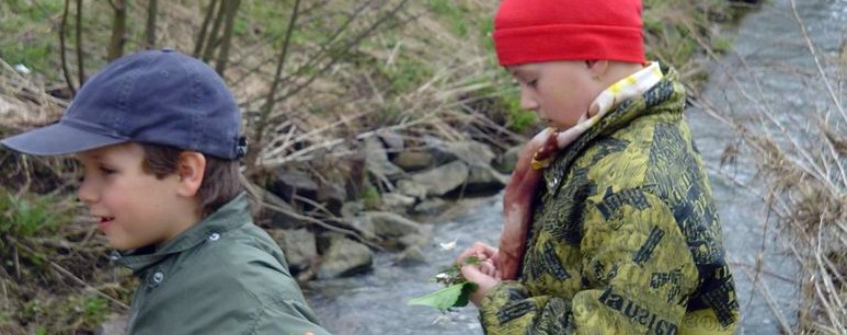 Son�k a Kuki fand�!